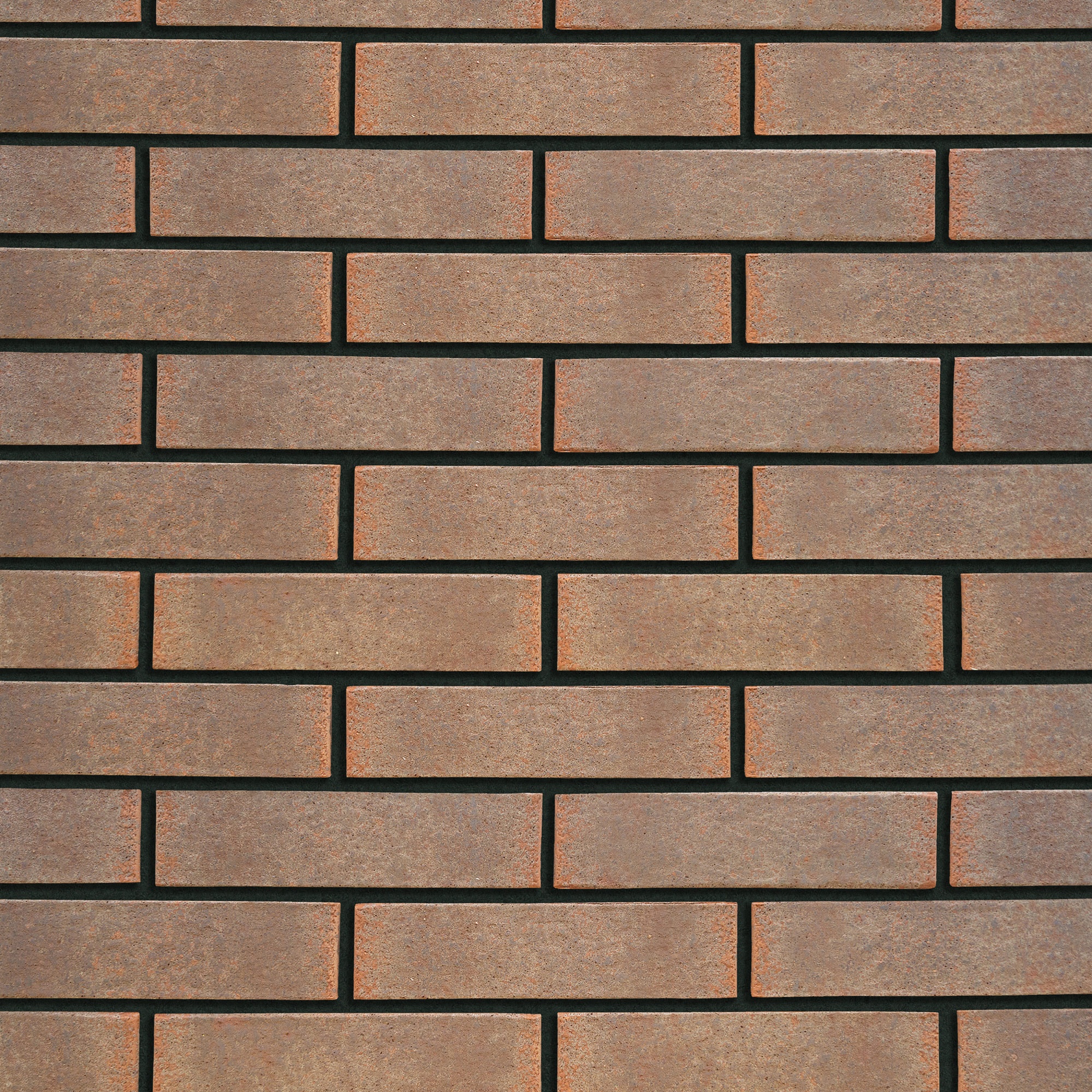 Кротовский Осень 1НФ